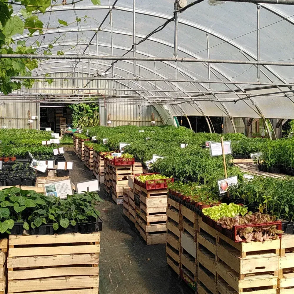 Pépinière le Jardin Gourmand