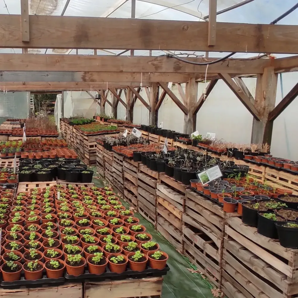 Jardinerie près de Mérignac