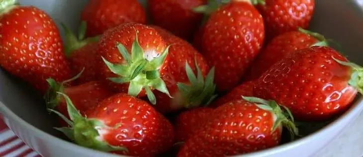 Fraisier Mara des bois