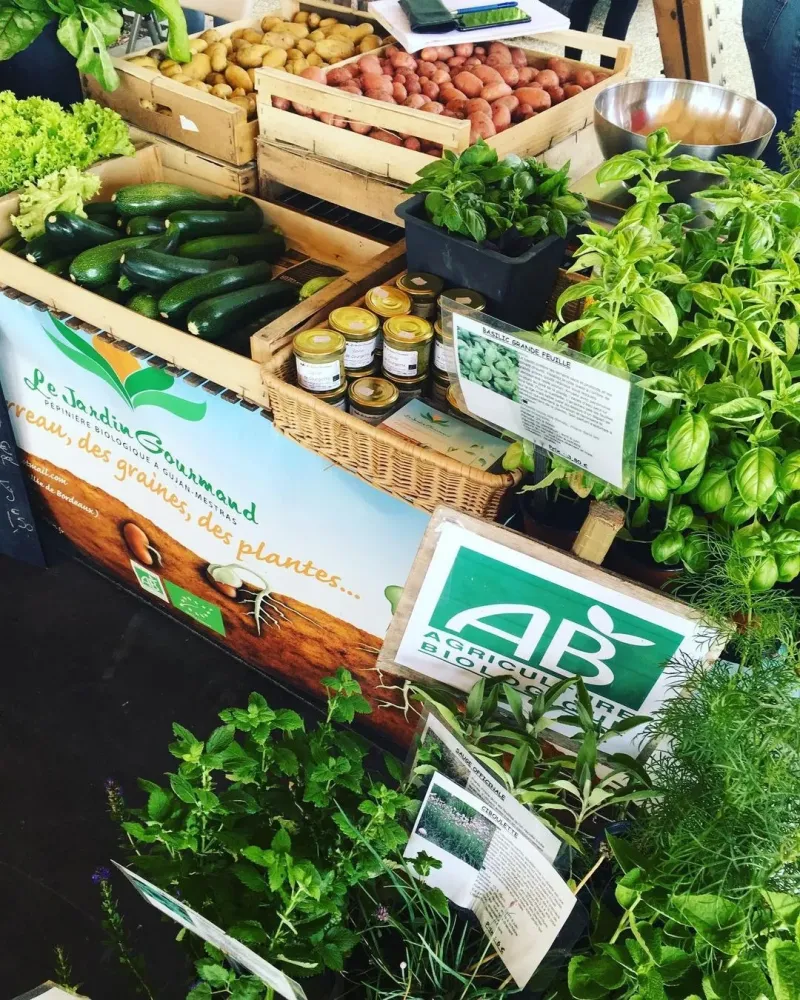 Plantes bio près de Mérignac