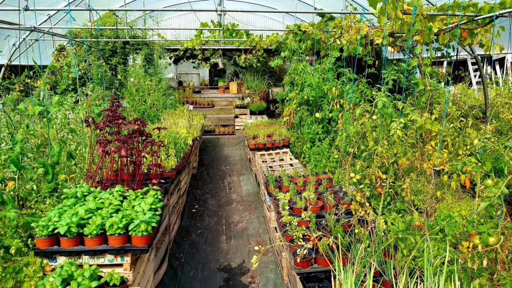 Permaculture près de Mérignac