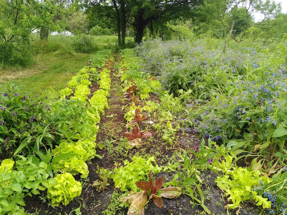 Agroécologie près de Mérignac